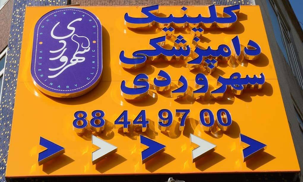 کلینیک دامپزشکی سهروردی